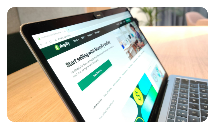 Shopify website overview